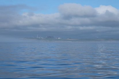 Heel veel mist onderweg, soms breekt de zon even door.