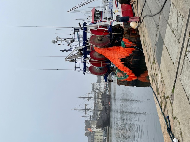 Prachtige netten., daar zou ik wel eens een onderwaterfilm van willen maken.