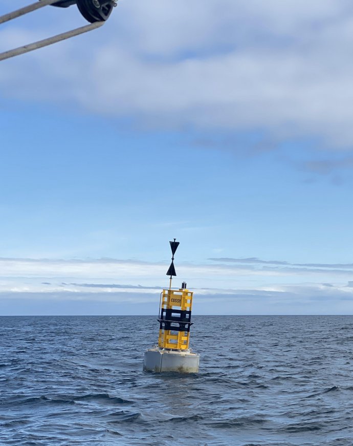 De Cussy, een boei met een bijzonder verhaal.