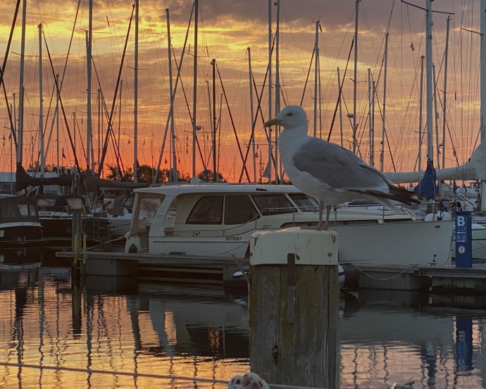 En daar zit Gerrit, alsof we nooit zijn weggeweest.