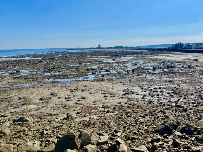 De zee komt en de zee gaat.