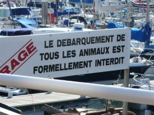 Franstalige borden op Jersey