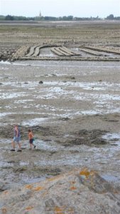 Eb bij St. Vaast met de uitgestrekte oesterbanken